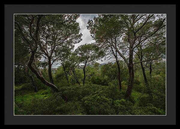Hillside View from Spain Castle Gardens II - Framed Print