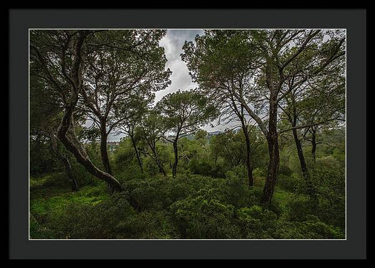 Hillside View from Spain Castle Gardens II - Framed Print