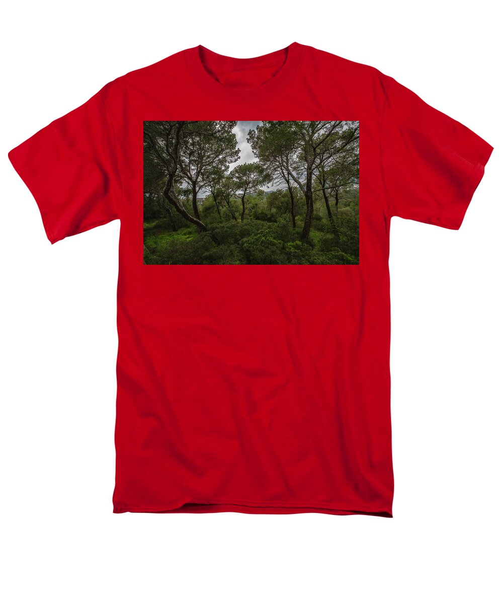 Hillside View from Spain Castle Gardens II - Men's T-Shirt  (Regular Fit)