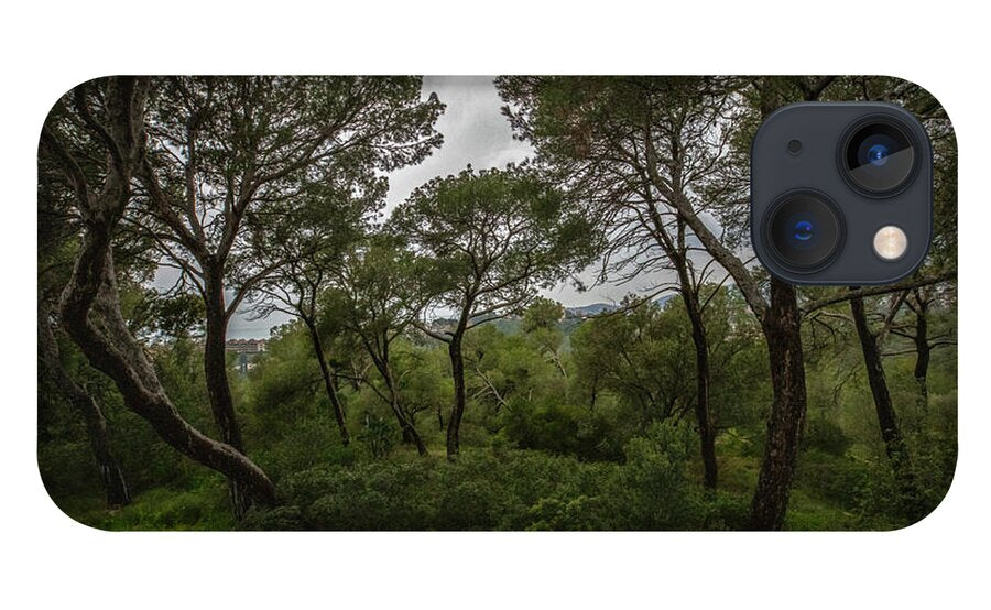 Hillside View from Spain Castle Gardens II - Phone Case