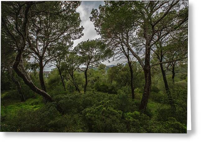 Hillside View from Spain Castle Gardens II - Greeting Card
