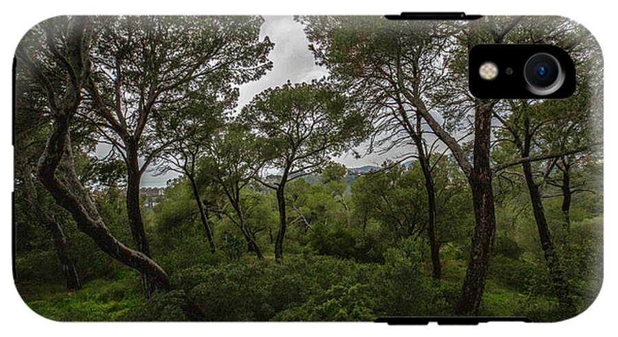 Hillside View from Spain Castle Gardens II - Phone Case