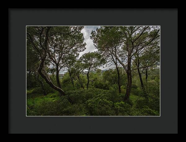 Hillside View from Spain Castle Gardens II - Framed Print