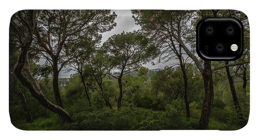 Hillside View from Spain Castle Gardens II - Phone Case