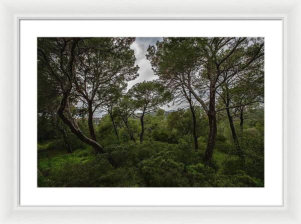 Hillside View from Spain Castle Gardens II - Framed Print