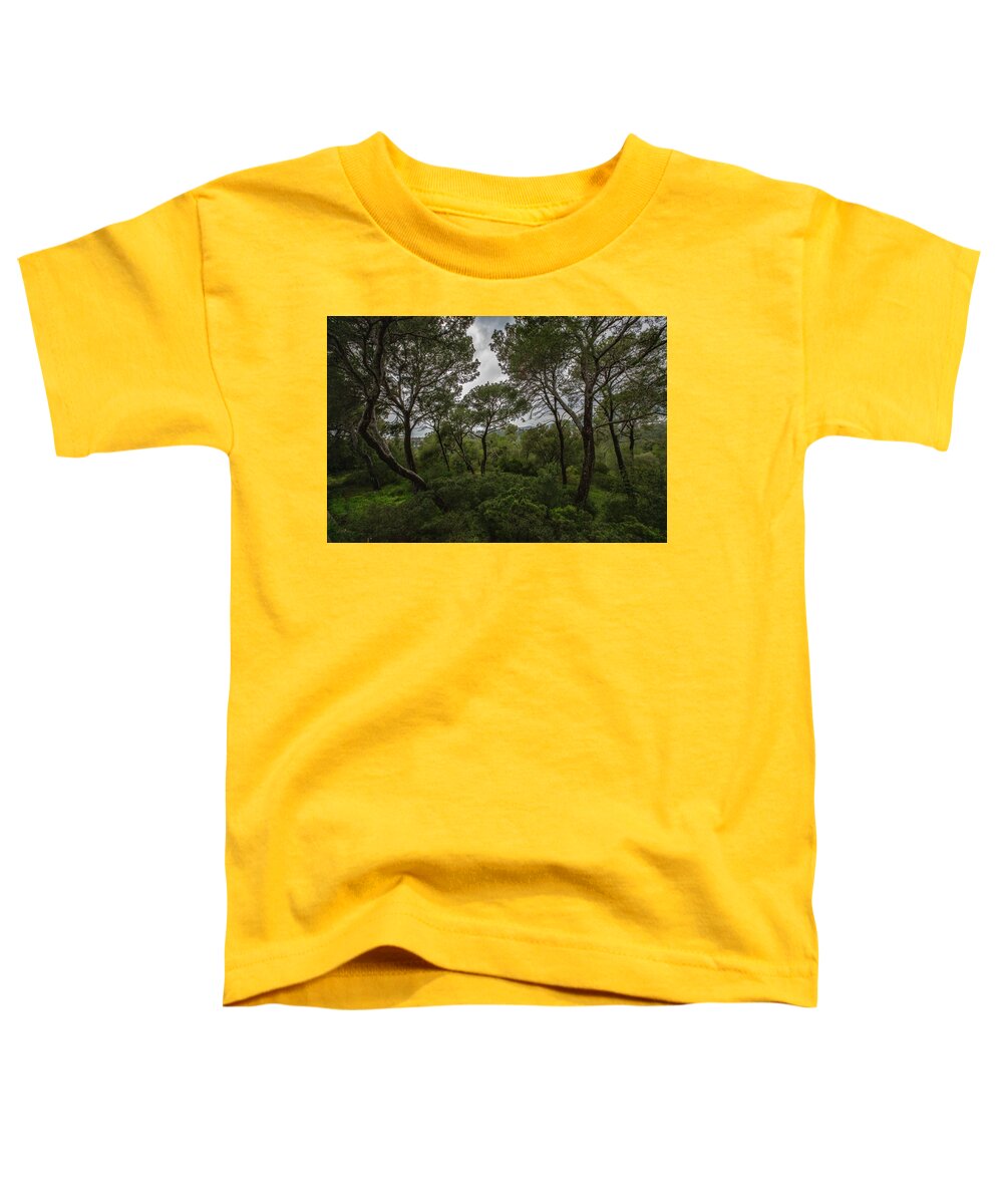 Hillside View from Spain Castle Gardens II - Toddler T-Shirt