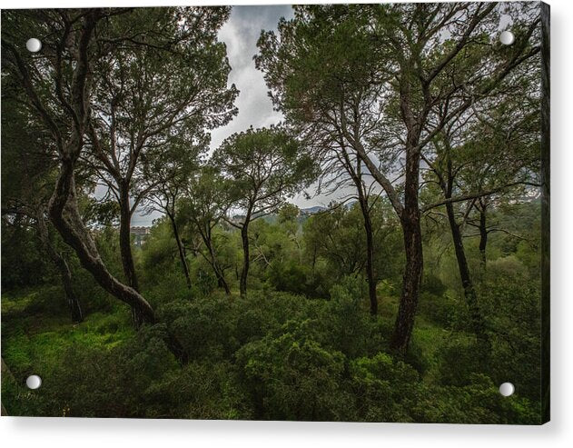 Hillside View from Spain Castle Gardens II - Acrylic Print