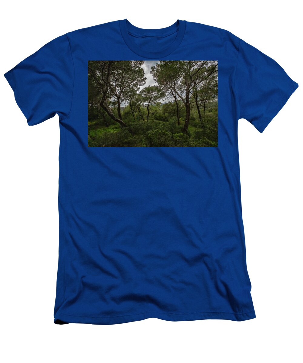 Hillside View from Spain Castle Gardens II - T-Shirt