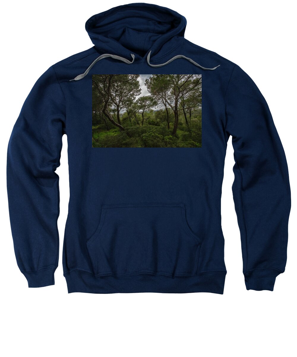 Hillside View from Spain Castle Gardens II - Sweatshirt