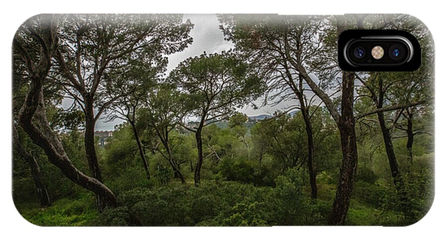 Hillside View from Spain Castle Gardens II - Phone Case