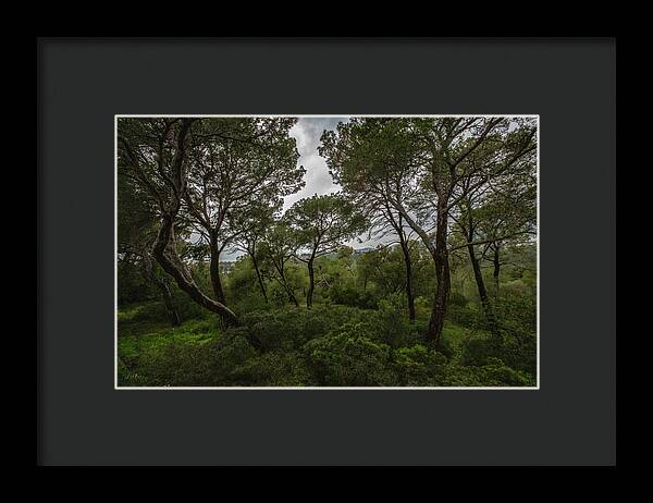 Hillside View from Spain Castle Gardens II - Framed Print