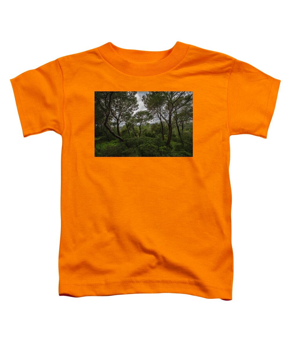 Hillside View from Spain Castle Gardens II - Toddler T-Shirt