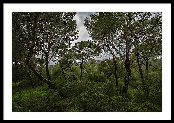 Hillside View from Spain Castle Gardens II - Framed Print