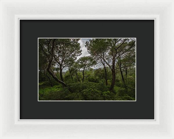 Hillside View from Spain Castle Gardens II - Framed Print