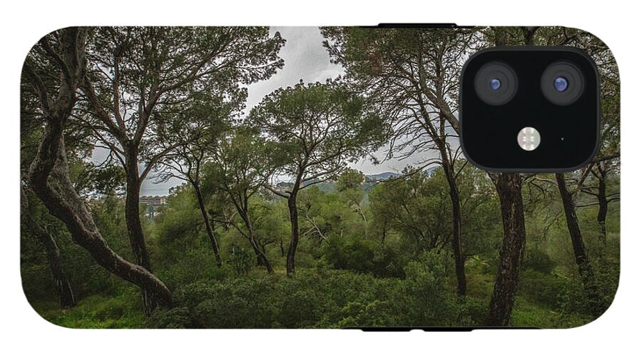 Hillside View from Spain Castle Gardens II - Phone Case