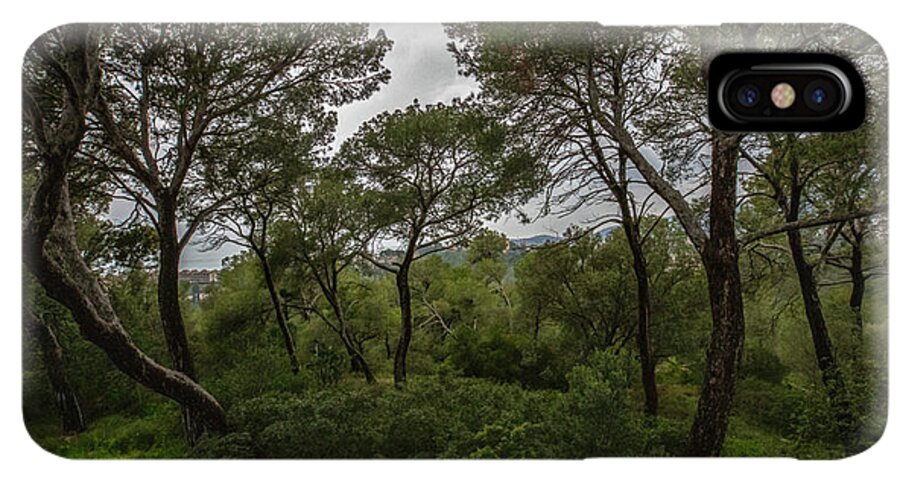 Hillside View from Spain Castle Gardens II - Phone Case