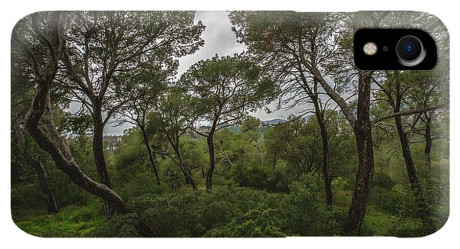 Hillside View from Spain Castle Gardens II - Phone Case