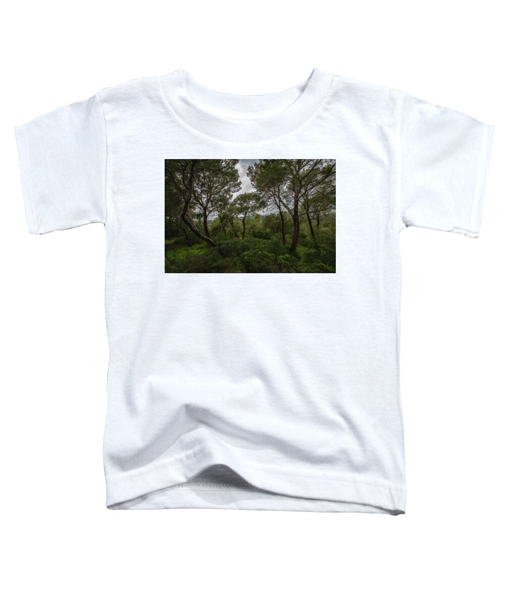 Hillside View from Spain Castle Gardens II - Toddler T-Shirt