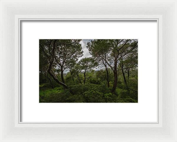Hillside View from Spain Castle Gardens II - Framed Print