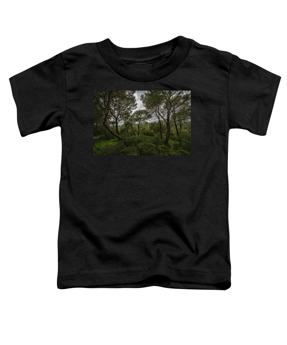 Hillside View from Spain Castle Gardens II - Toddler T-Shirt