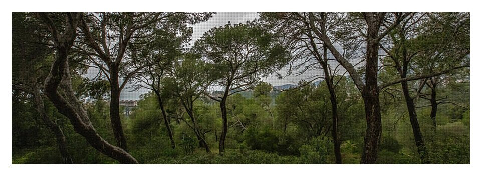 Hillside View from Spain Castle Gardens II - Yoga Mat