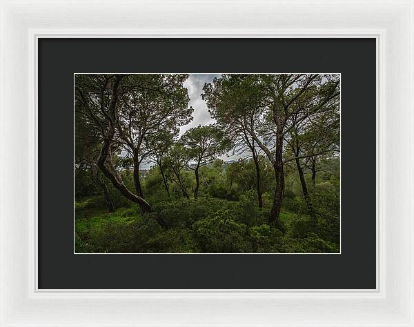 Hillside View from Spain Castle Gardens II - Framed Print