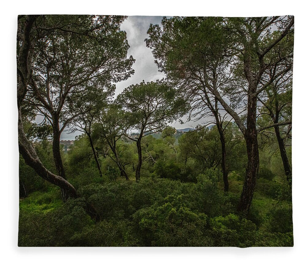 Hillside View from Spain Castle Gardens II - Blanket