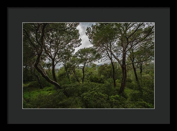 Hillside View from Spain Castle Gardens II - Framed Print