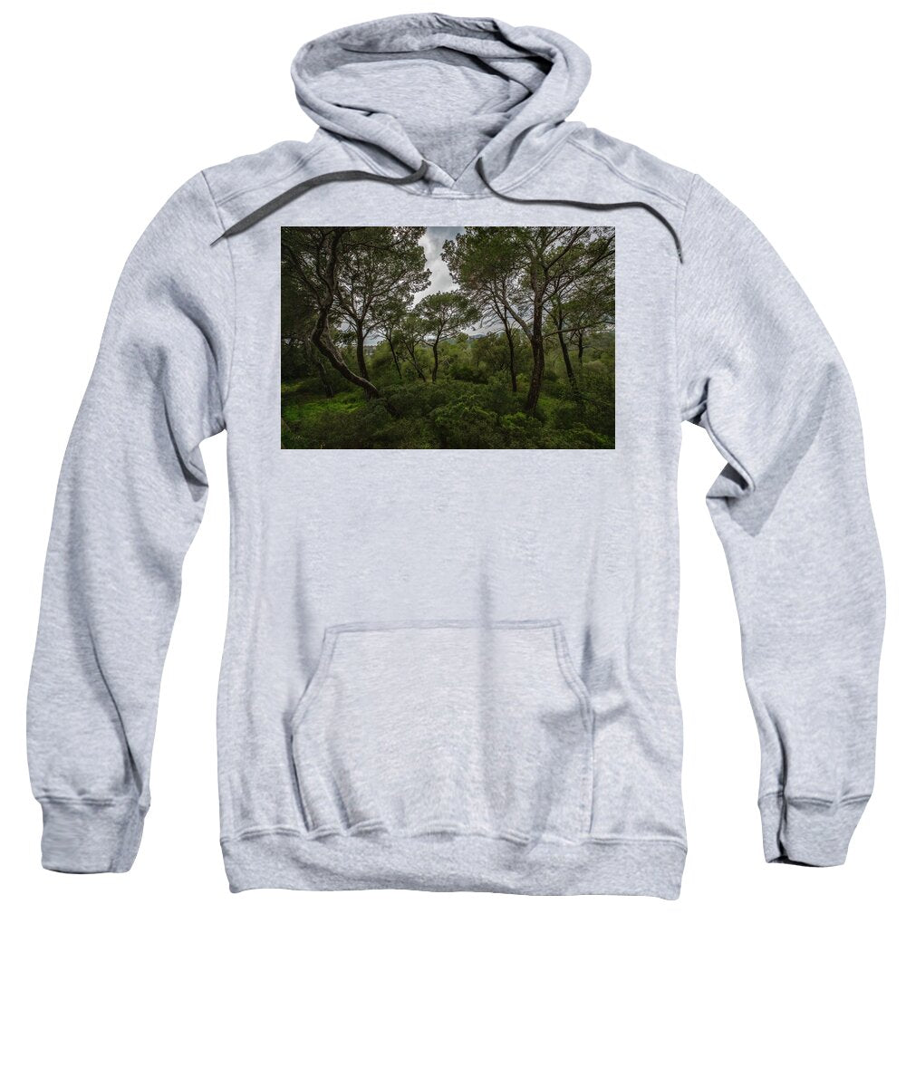 Hillside View from Spain Castle Gardens II - Sweatshirt
