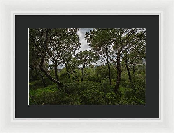 Hillside View from Spain Castle Gardens II - Framed Print