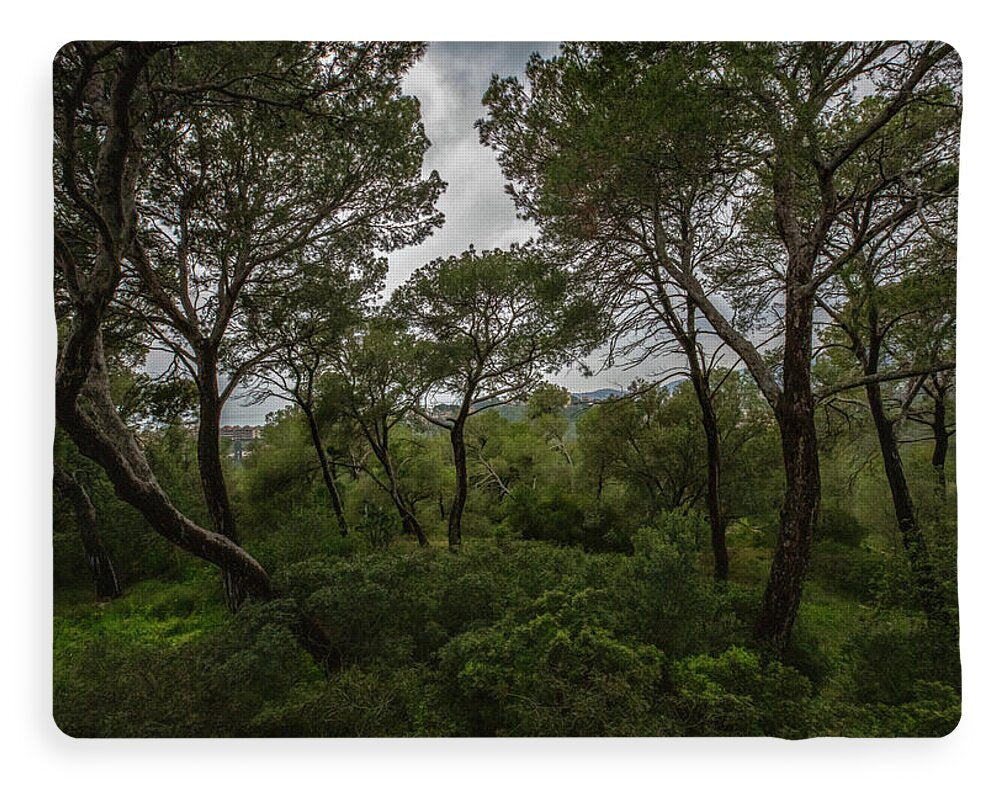 Hillside View from Spain Castle Gardens II - Blanket