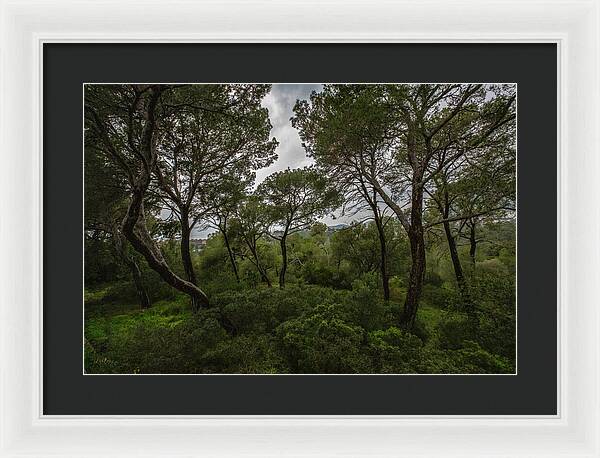 Hillside View from Spain Castle Gardens II - Framed Print