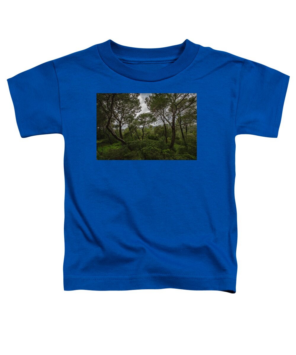 Hillside View from Spain Castle Gardens II - Toddler T-Shirt