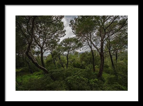 Hillside View from Spain Castle Gardens II - Framed Print